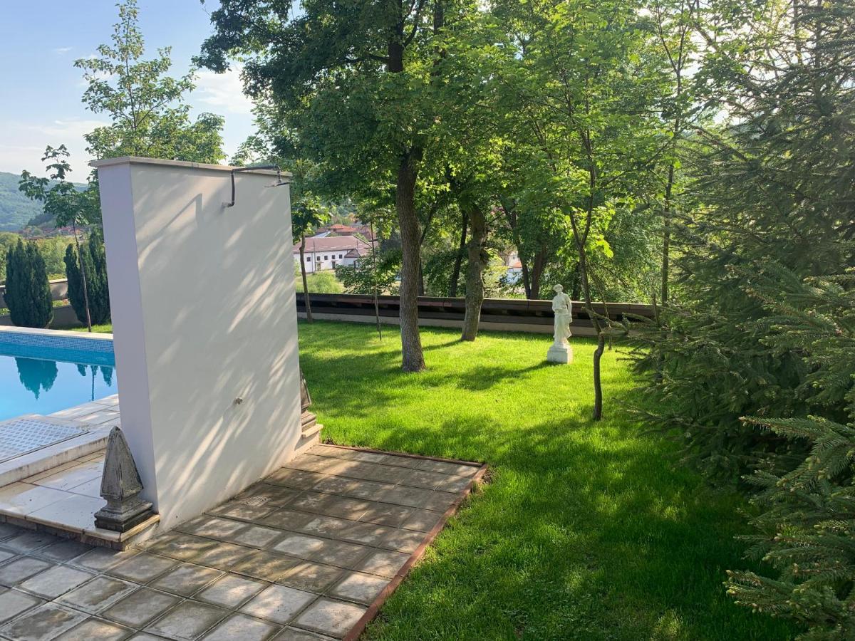 Casa Romana Ieşelniţa Buitenkant foto